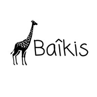 Baikis logo - Similar company to Febrero Studio