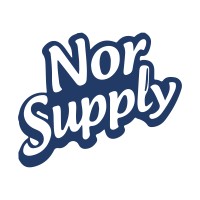 Norsupply Srl logo - Similar company to Logischer
