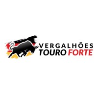 Vergalhões Touro Forte logo - Similar company to King Ferramentas