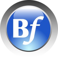 Borderflow logo - Similar company to Express Lumpers