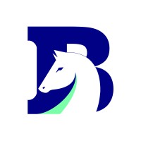 Brumby Systems logo - Similar company to Openmind Solutions Llc