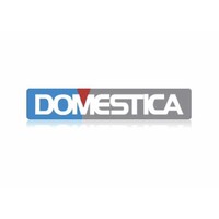 DOMESTICA LTD logo - Similar company to Rina Electrical Pte Ltd