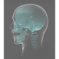 BRITISH ASSOCIATION OF ORAL SURGEONS logo - Similar company to Dentspro India Pvt. Ltd.