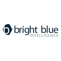 Bright Blue Intelligence logo - Similar company to Bright Blue