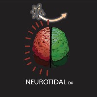 NeuroTidal Diagnostics logo - Similar company to De Programmeerschool