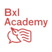 Bxl Academy logo - Similar company to Brussels Research Centre For Innovation In Learning And Diversity (Bild), Vub