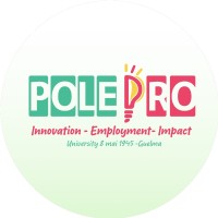 POLE PRO logo - Similar company to Gb Vertical