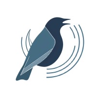 Jackdaw logo - Similar company to Jackdaw Studio