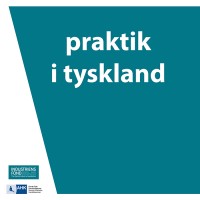 Praktik i Tyskland logo - Similar company to Team Praktik