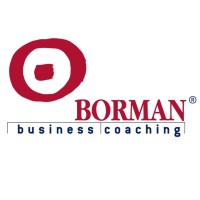 Borman Consulting logo - Similar company to Mb Consulting