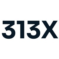 313X Cybersecurity logo - Similar company to No-Pineapple Digital Solutions