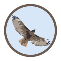 Conservation Associates logo - Similar company to Forest Bathing International