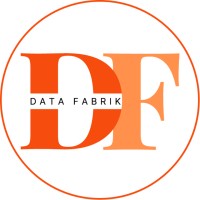 DATA FABRIK logo - Similar company to Datafabric