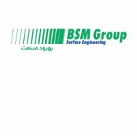 BSMGroup. logo - Similar company to Appendagerevisie Peene Bv