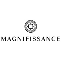 Magnifissance logo - Similar company to C2W Consulting