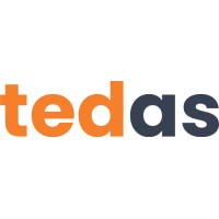Tedas logo - Similar company to Shvedkodev