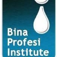 Bina Profesi Institute logo - Similar company to Lpkn Training Center