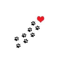 Mechanic Falls Veterinary Hospital logo - Similar company to Mechanic Help U