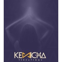 KeMiCha Vibrations logo - Similar company to Trans Com Inter