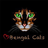 Bengal Cat Blog - Bengalcats.co logo - Similar company to Dogpack
