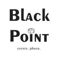 Black Point logo - Similar company to Blackpoint