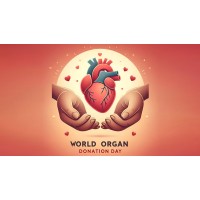 kidney transplant logo - Similar company to Kidney Transplant Network