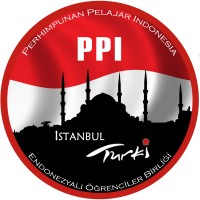PPI ISTANBUL logo - Similar company to Türkiye Milli Kültür Vakfı