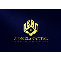 Anngela Capital logo - Similar company to Computer Crews