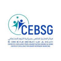 CE-BSG Officiel logo - Similar company to No Hate Speech Network
