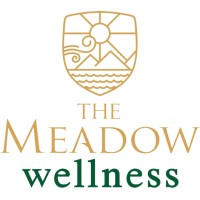 The Meadow Wellness - Premium Holistic Wellness Center logo - Similar company to Consultkar.Com