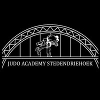 Judo Academy Stedendriehoek logo - Similar company to Judo Canada