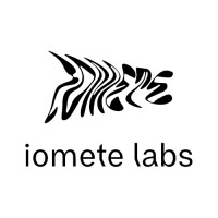 Iomete Labs logo - Similar company to Superposition