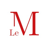 Le M emlyon logo - Similar company to Verbatem - Emlyon Business School