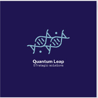 Quantum Leap Strategic Solution logo - Similar company to Quantum Leap Services