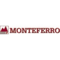 Monteferro America logo - Similar company to Enduron Custom Inc.