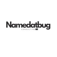 NameDatBug Consulting logo - Similar company to Sam Star Group Inc
