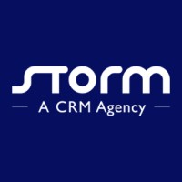 STORM Consulting logo - Similar company to Chinapay