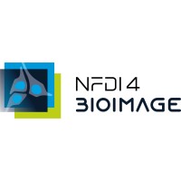 NFDI4BIOIMAGE logo - Similar company to Cellima Scientific Services