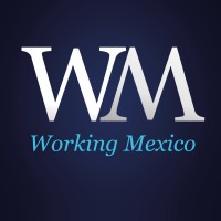 Working Mexico Headhunter logo - Similar company to Hr Consultant