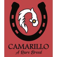 Camarillo Consulting Services, LLC