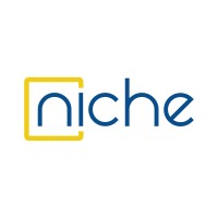 Niche Team Llc