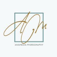 Anamedia logo - Similar company to Aq&Co Studio