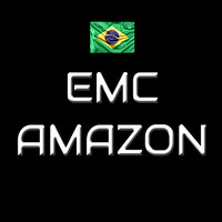 EMC Export Import Amazônia logo - Similar company to Emc Amazon Middle East