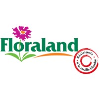 SARL FLORALAND logo - Similar company to Innocenti E Mangoni Piante