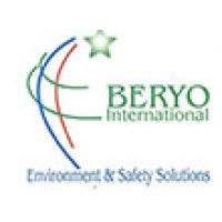 BERYO INTERNATIONAL logo - Similar company to Pconsulting