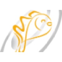 Babel Consulting Vn