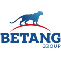 Betang Group logo - Similar company to 4Com Marketing Agency