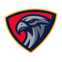 Niverville Nighthawks logo - Similar company to Working Draft Magazine