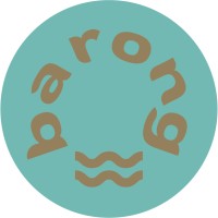 Barong logo - Similar company to Arkos Digital