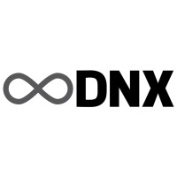 DNX logo - Similar company to Dnx Brasil